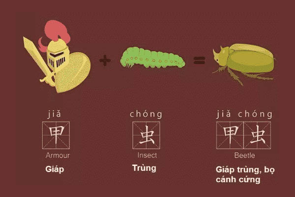 Lợi ích của việc học tiếng Trung bằng hình ảnh
