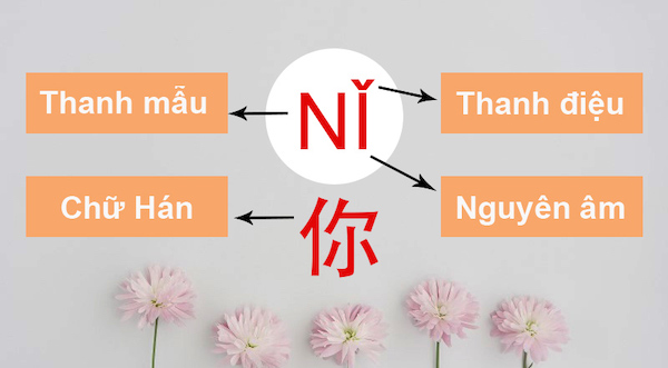 Trong hệ thống bính âm tiếng Trung gồm 3 phần chính là: nguyên âm, thanh mẫu và thanh điệu