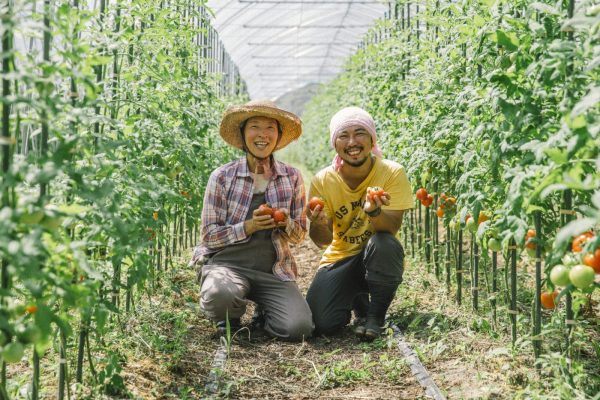 Thi tuyển đơn hàng nông nghiệp đi Nhật có khó không?