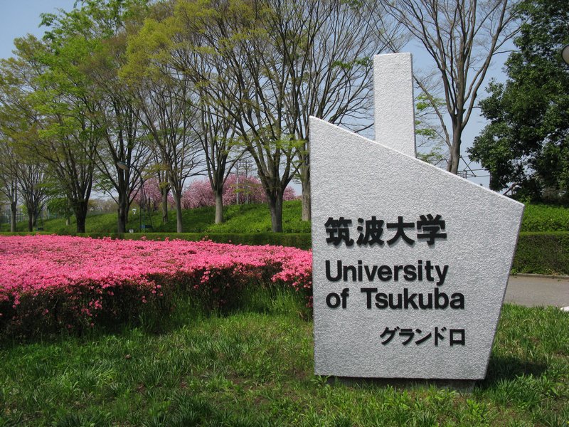 Nếu bạn đang có ý định du học tại Ibaraki, Đại học Tsukuba sẽ là một sự lựa chọn lý tưởng