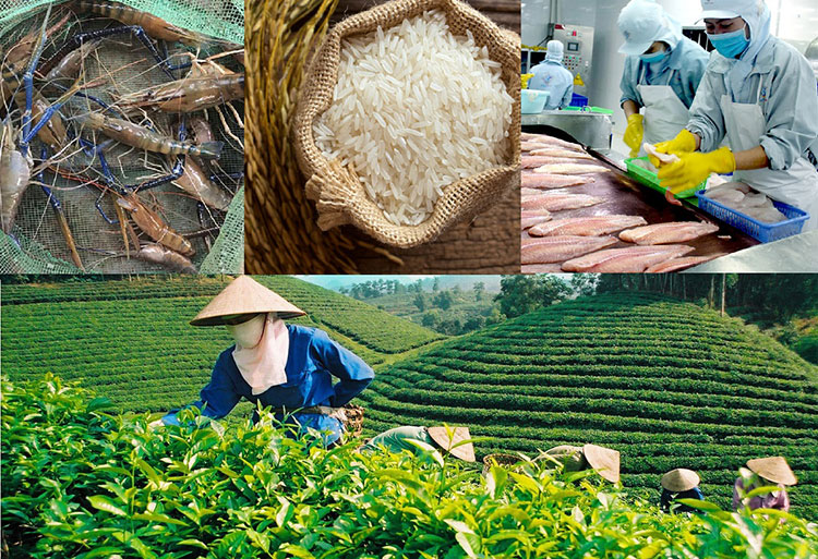 Trung Quốc đặc biệt chú trọng vào ngành nông lâm nghiệp và đào tạo chất lượng cao