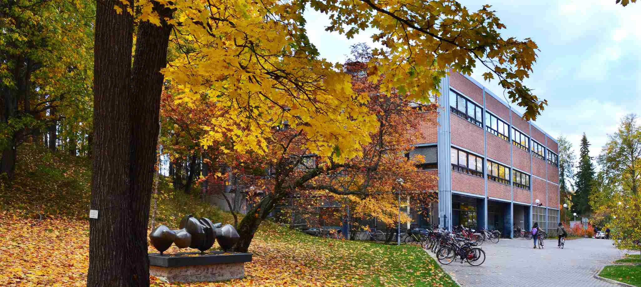 Đại học Jyväskylä